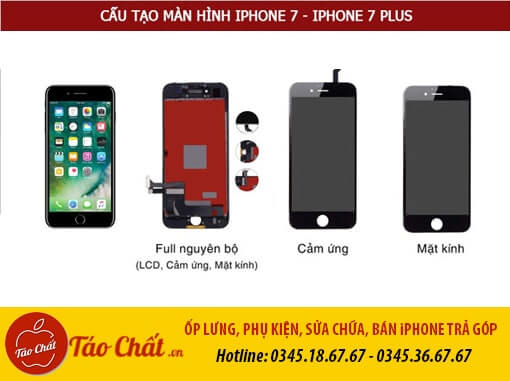 Cấu Tạo Màn Hình iPhone 7 Plus Taochat.vn