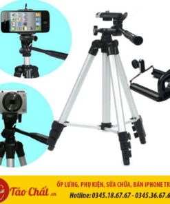 Gậy 3 Chân Đà Nẵng Taochat.vn