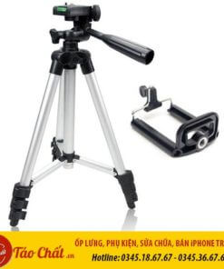 Gậy 3110 Đà Nẵng Taochat.vn