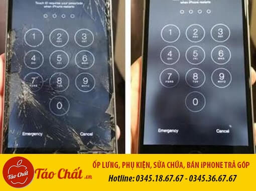Màn Hình iPhone 6 Bể Kính Taochat.vn
