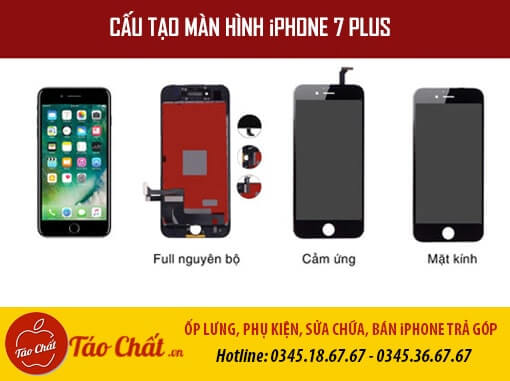 Cấu Tạo Màn Hình iPhone 7 Plus Taochat.vn