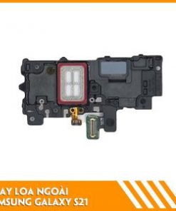 thay-loa-ngoai-samsung-s21-fc